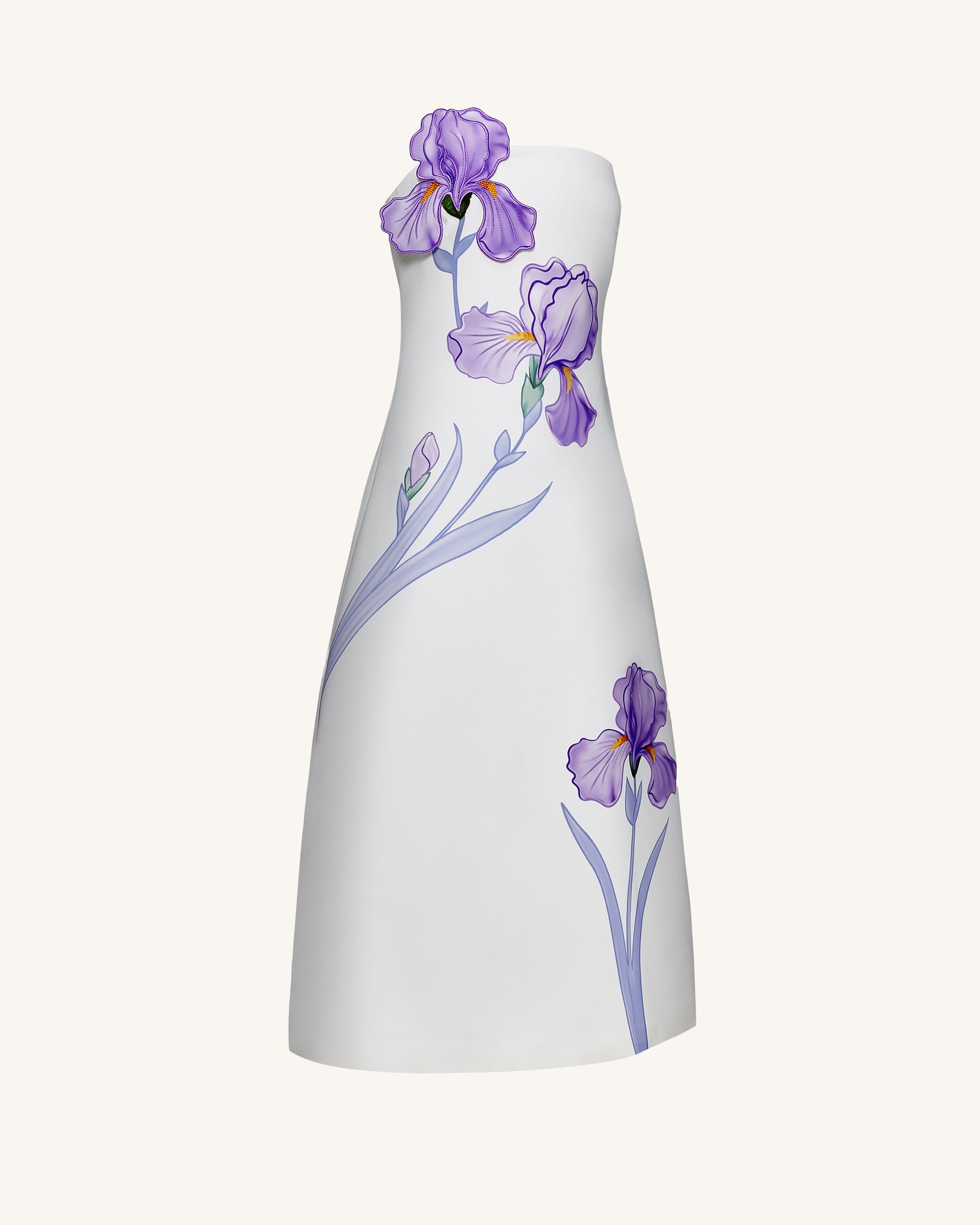 Iris Floral Print Strapless A-Line Maxi Dress - White - Image 2