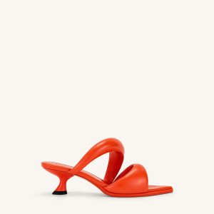 Sara Mule - Scarlet